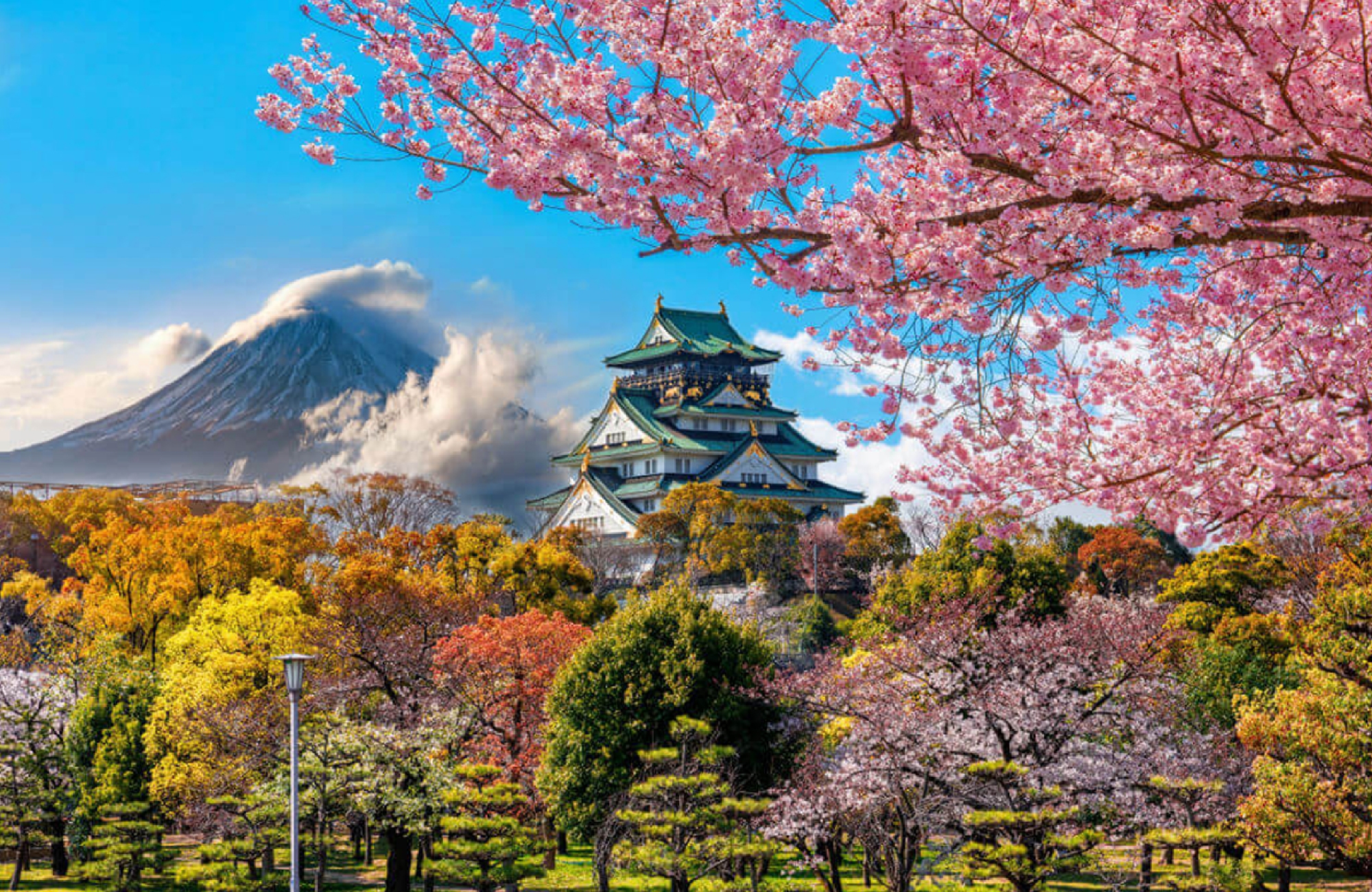 Higan nét văn hóa tâm linh đặc sắc của Nhật Bản