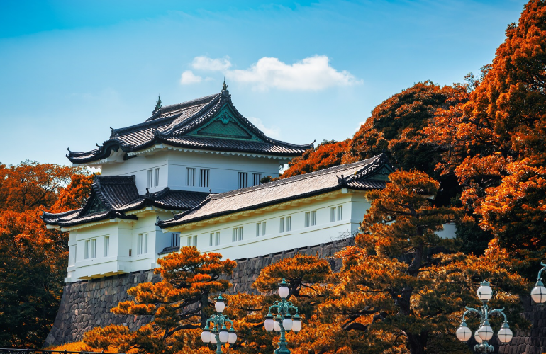 Công chúng thích thú thưởng ngoạn sắc lá thu tại Hoàng cung ở Tokyo