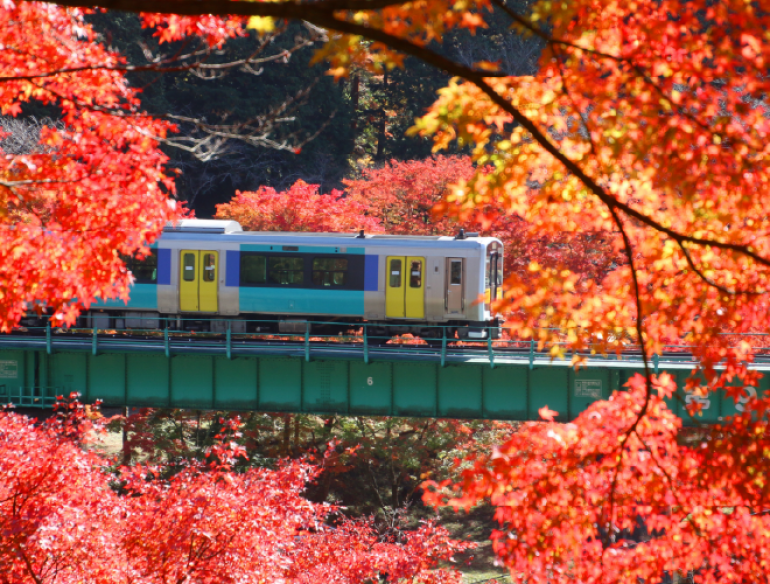 Nhật Bản được bình chọn Quốc gia hấp dẫn nhất thế giới ba năm liên tiếp