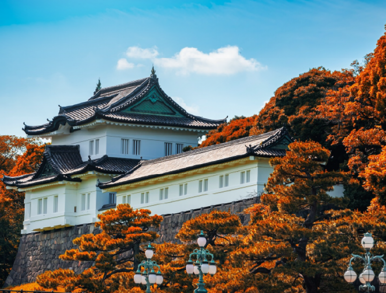 Công chúng thích thú thưởng ngoạn sắc lá thu tại Hoàng cung ở Tokyo